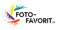 TFP Fotoshooting Schweiz Logo